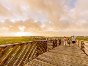Boardwalk At Waters Edge