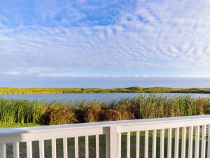 Lake View Of Waters Edge